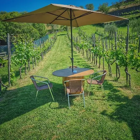 L'oasi Di Cice